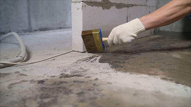 SJ Waterproofing Pros Crawl Space Encapsulation coverage map for Dora, AL and surrounding area